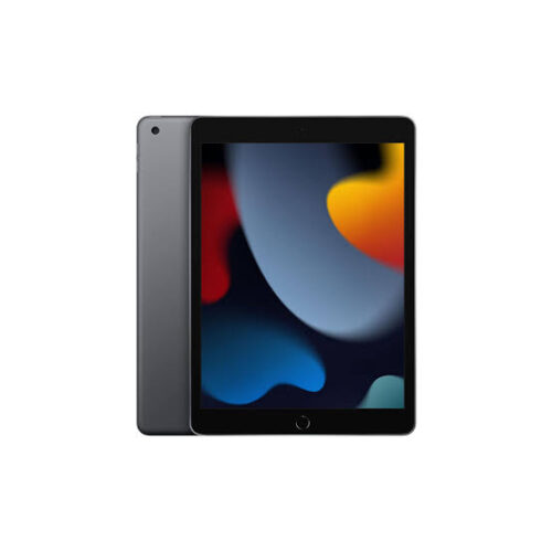 iPad 9th Gen (A2602)